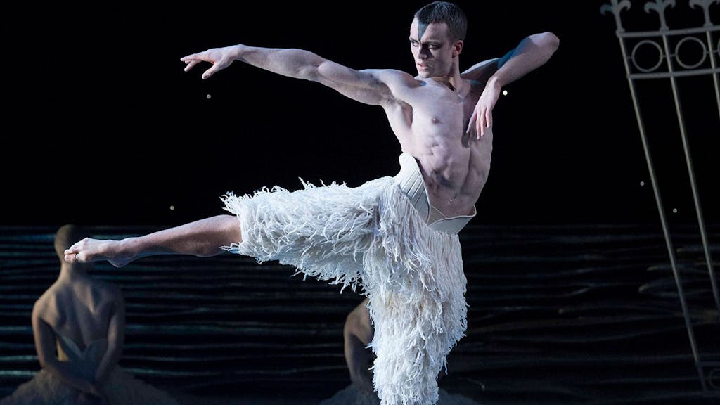Swan Lake